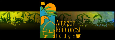 Amazon Rainforest Lodge - Iquitos Peru