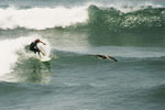 SURFING IN LIMA